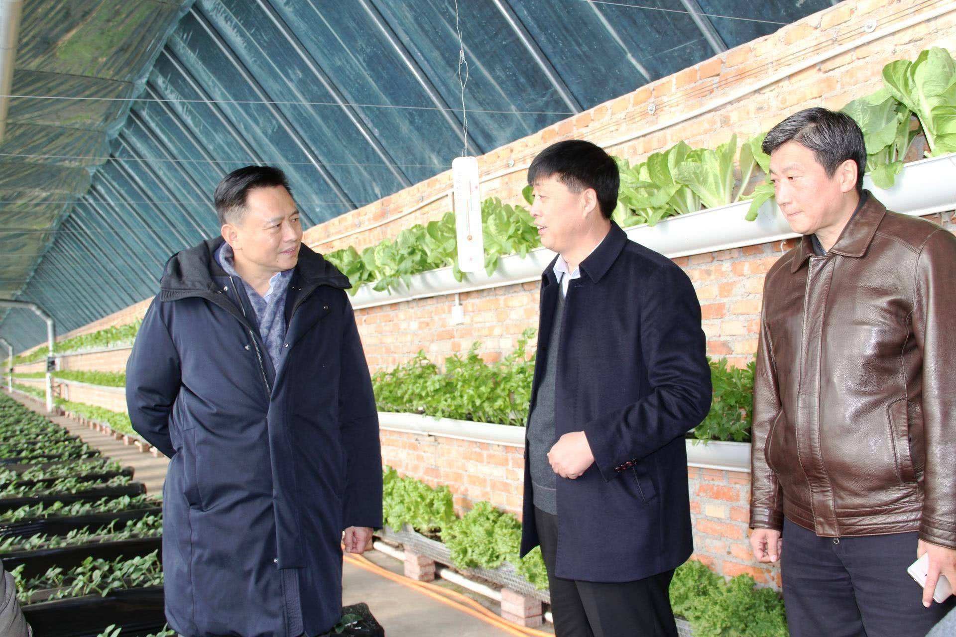 包含辽宁本钢内部会议纪要流出：清晨回应争议，意甲使命明确，资深球员宣示担当的词条